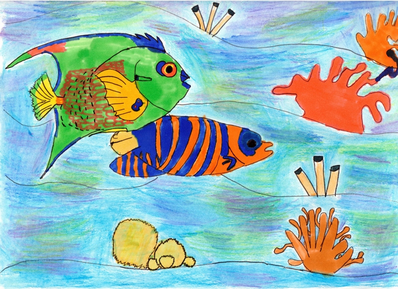 Drawing of three multicolored fish swimming in blue water with rocks, coral and anemones. 
