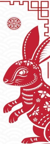 red rabbit on a white background