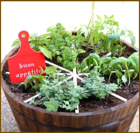 Round, wooden planter with plants and a small sign, buon appetito. 