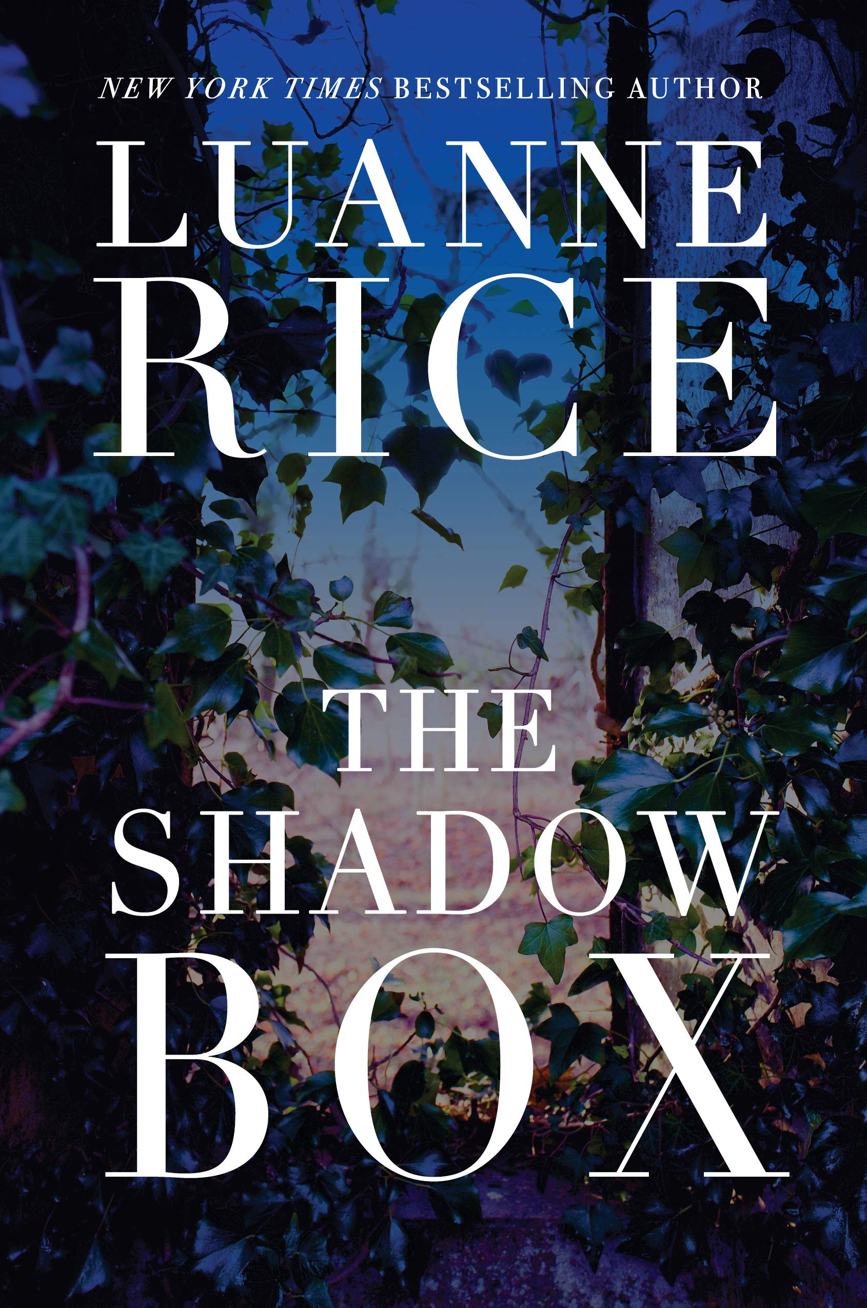 Book Cover of The Shadow Box by Luanne Rice