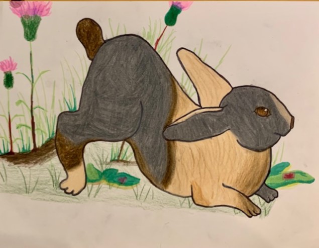 Grey and white drawing of a rabbit