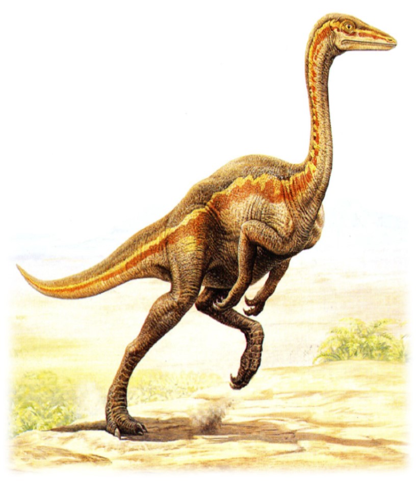Drawing of a dinosaur.                                                