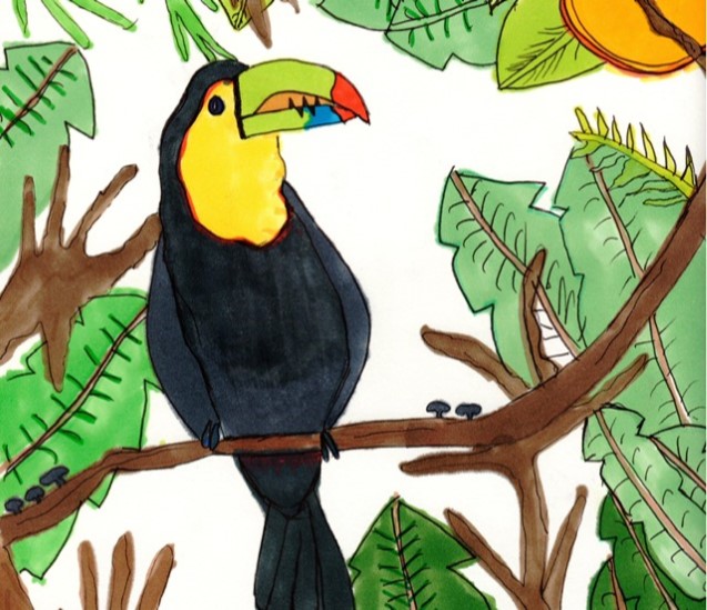 Toucan bird, drawn with markers and colored pencils, sitting on the branch of a green tree.