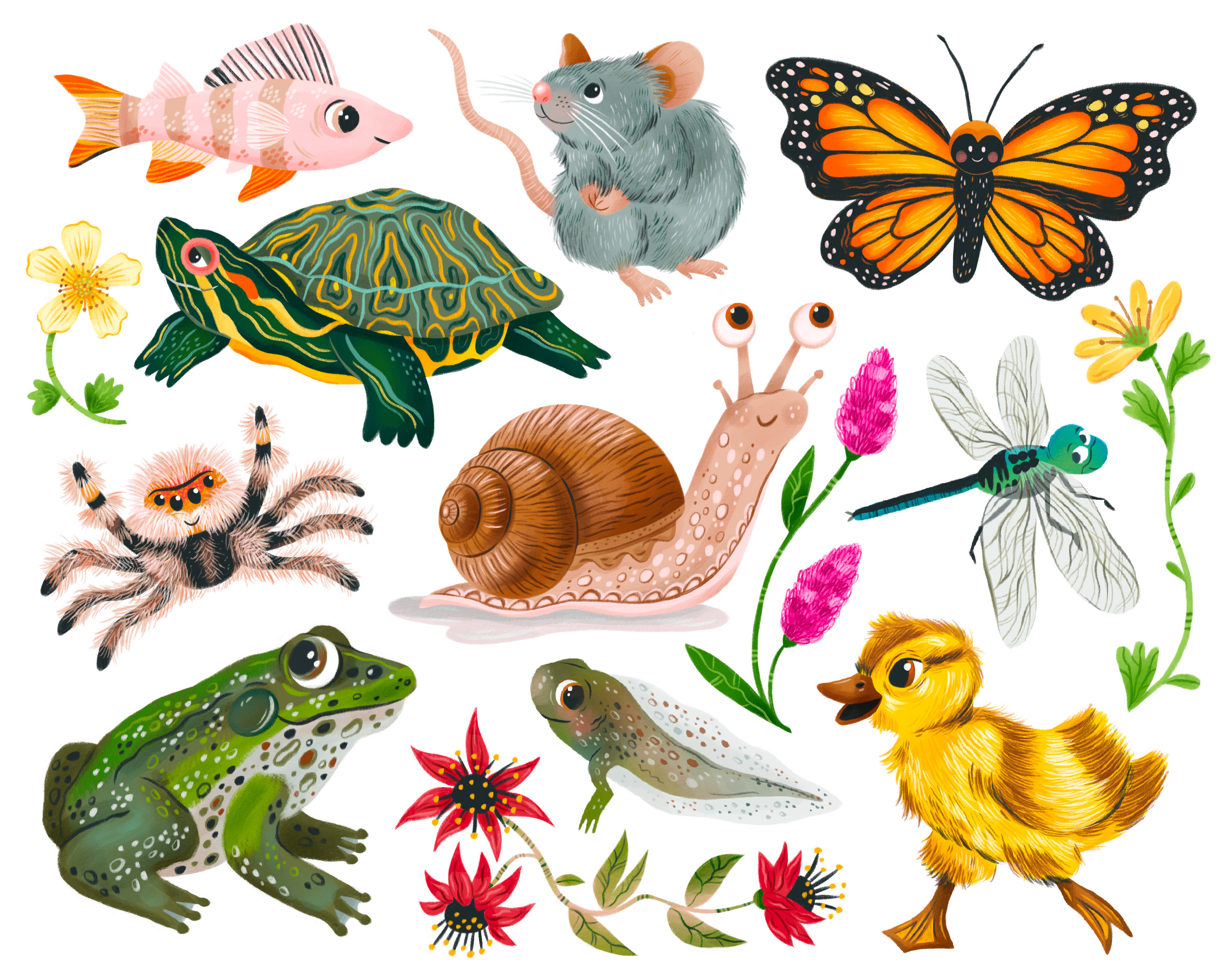 Illustration os various animals including a frog, butterfly, and turtle.