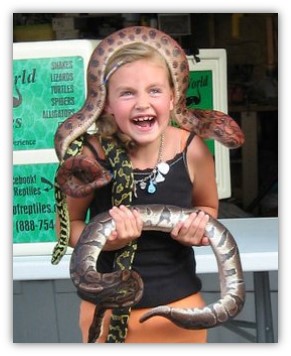 Smiling girl holding a snake with another snake draped over her head and a third snake on her shoulder. 
