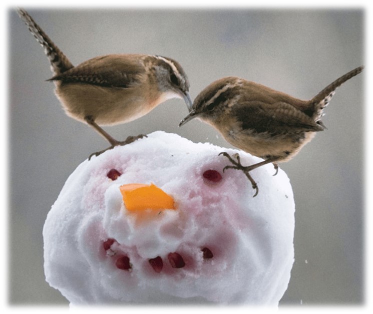 Two birds perched on the head of a snowman. The snowman's eyes and mouth are cranberries and the nose is an orange fruit. 
