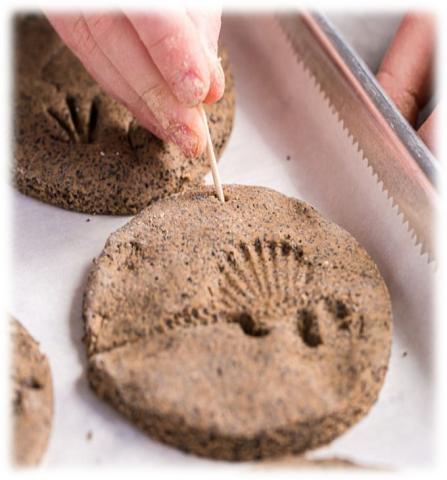 Dinosaur fossil in salt dough. 