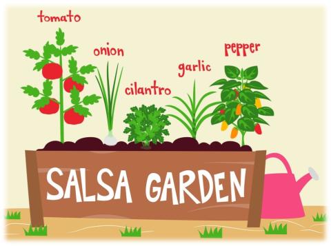 Clipart of a box planter with tomato, onion, cilantro, garlic and pepper plants. 