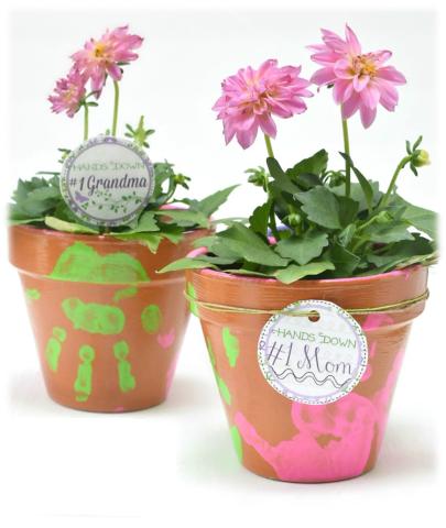two clay pots decorated with painted handprints. Plants with pink flowers are in each pot. 