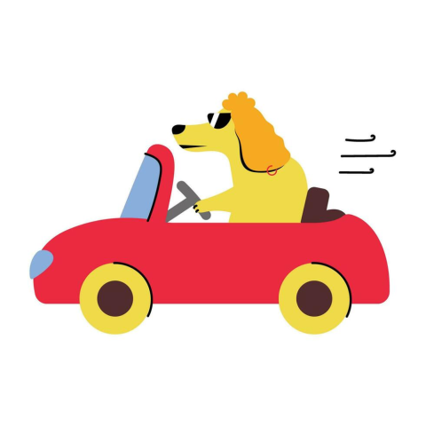 Red car with yellow wheels and a yellow dog wearing sunglasses driving it. 