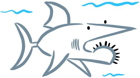 A shark drawn with simple lines of grey. Eyes and teeth are simply detailed in black. Three blue squiggles represent water. 