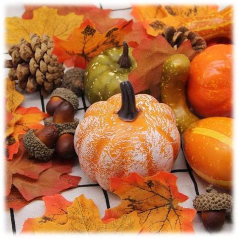 Orange and white pumpkin sitting on a white tiled floor, with a green pumpkin, green gourd and two smaller pumpkins off to the side. One pinecone, 5 acorns, and fall leaves surrounding the pumpkins. 