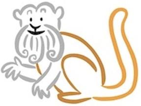 A monkey that has a beard and the top half is gray and the bottom half is brown. 