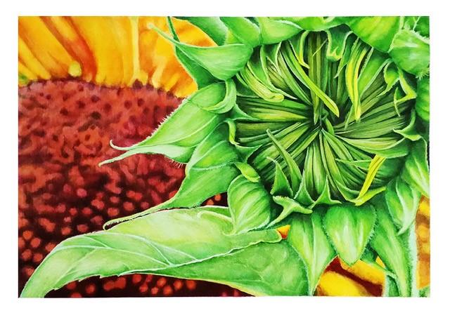 Illustration of a red flower with yellow leaves and a green floer with green leaves.