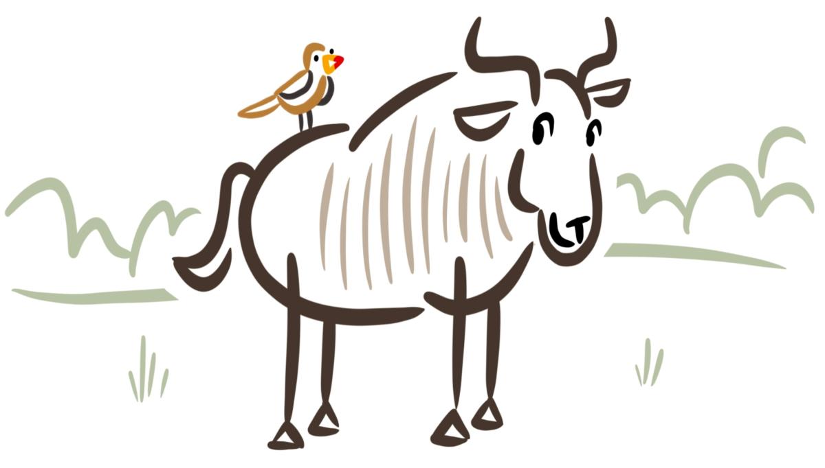 Wildebeast and bird drawing