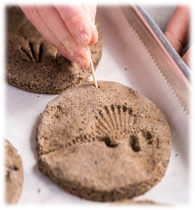 Dinosaur fossil in salt dough. 