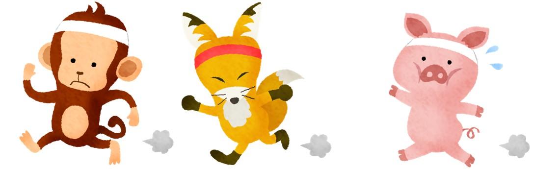 Monkey and fox and pig racing with headbands on their heads.