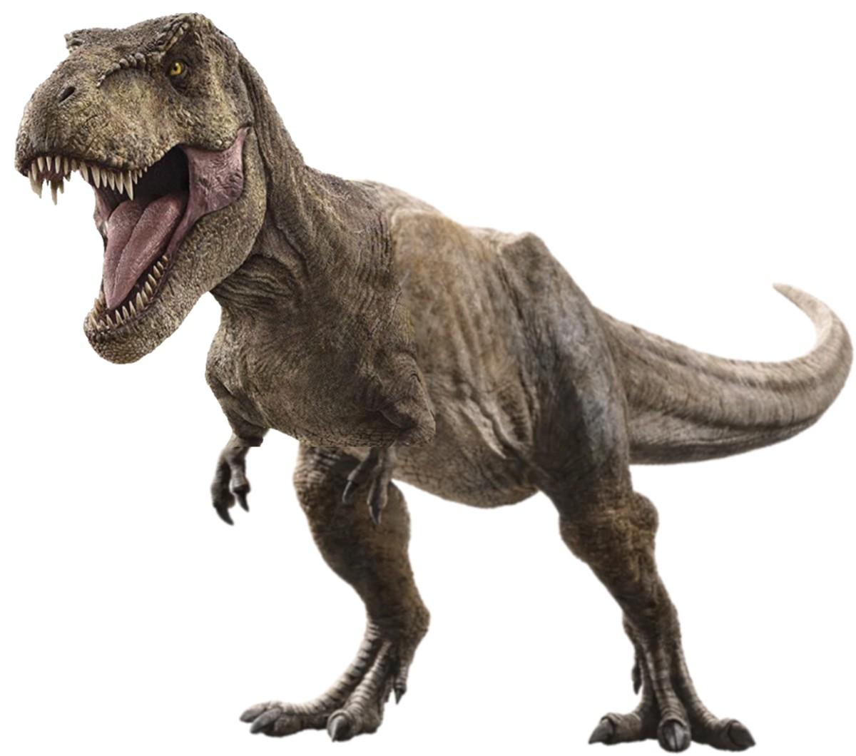 Gray T-Rex standing upright with mouth open. 